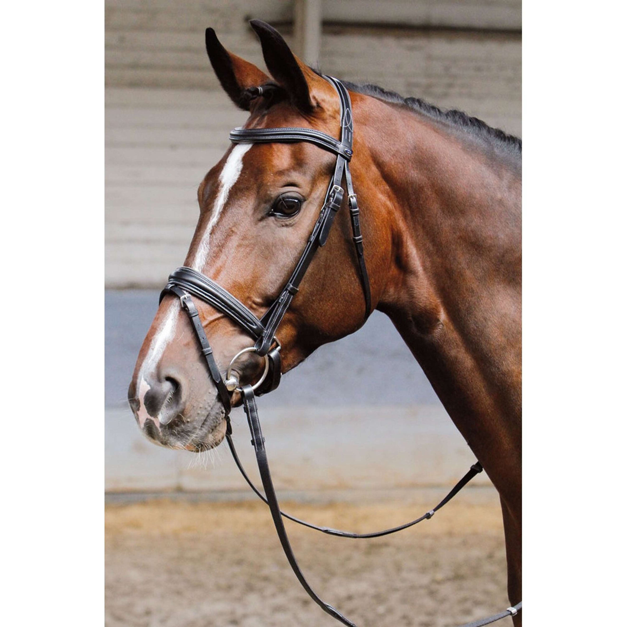 Harry's Horse Bride Soft Noir Harry's Horse Bride Soft Noir