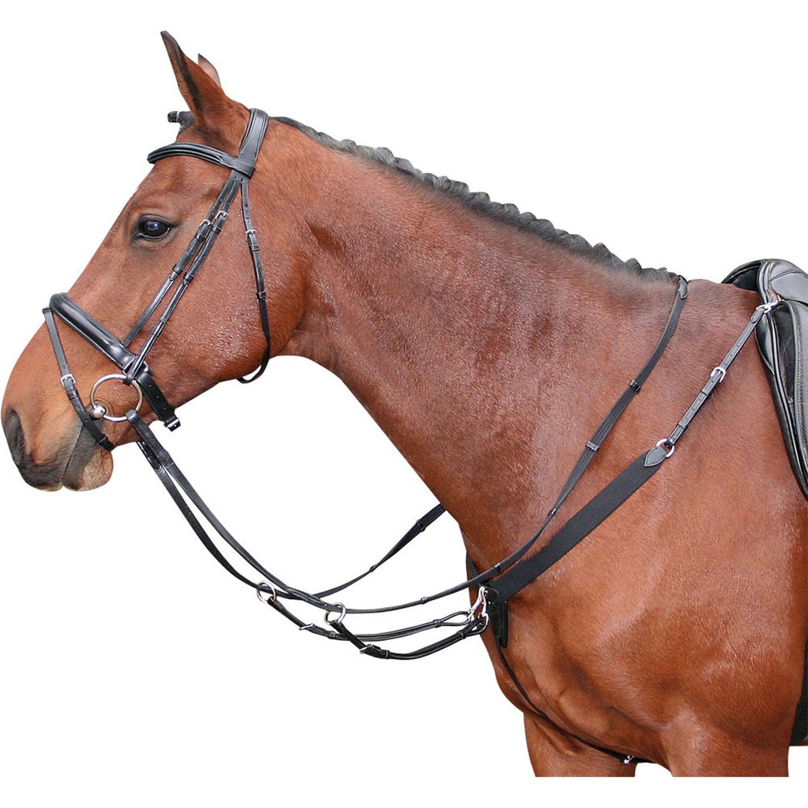 Harry's Horse Collier de Chasse Élastique Noir Harry's Horse Collier de Chasse Élastique Noir