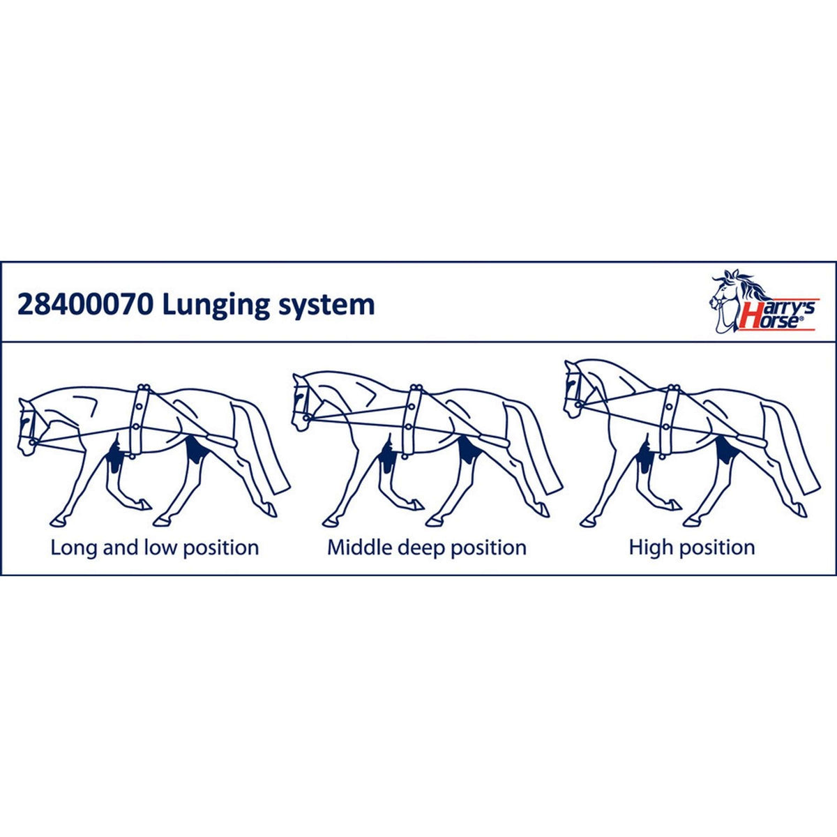 Harry's Horse Boucles pour Longe de Travail
