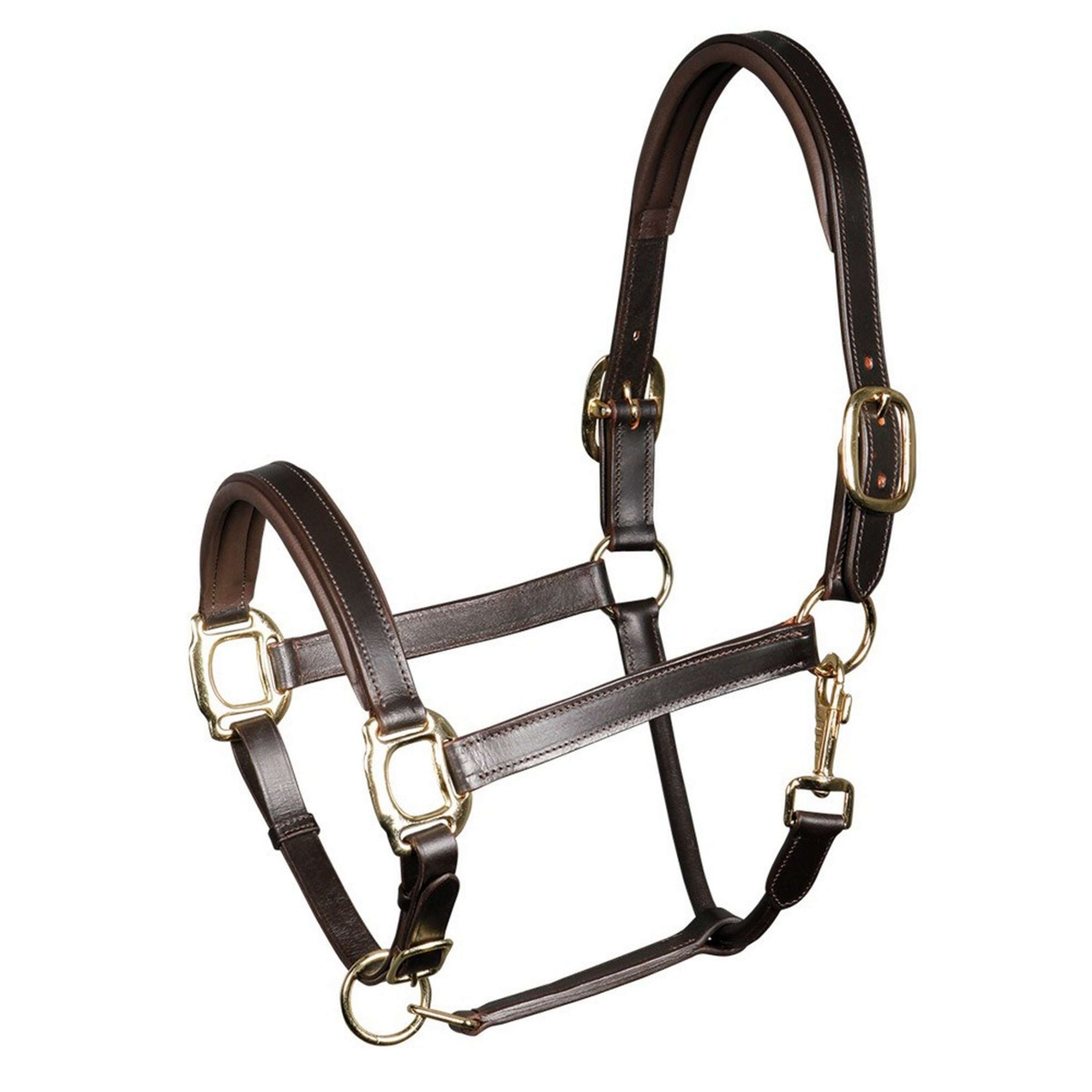 Harry's Horse Licol Padded Cuir Marron Harry's Horse Licol Padded Cuir Marron