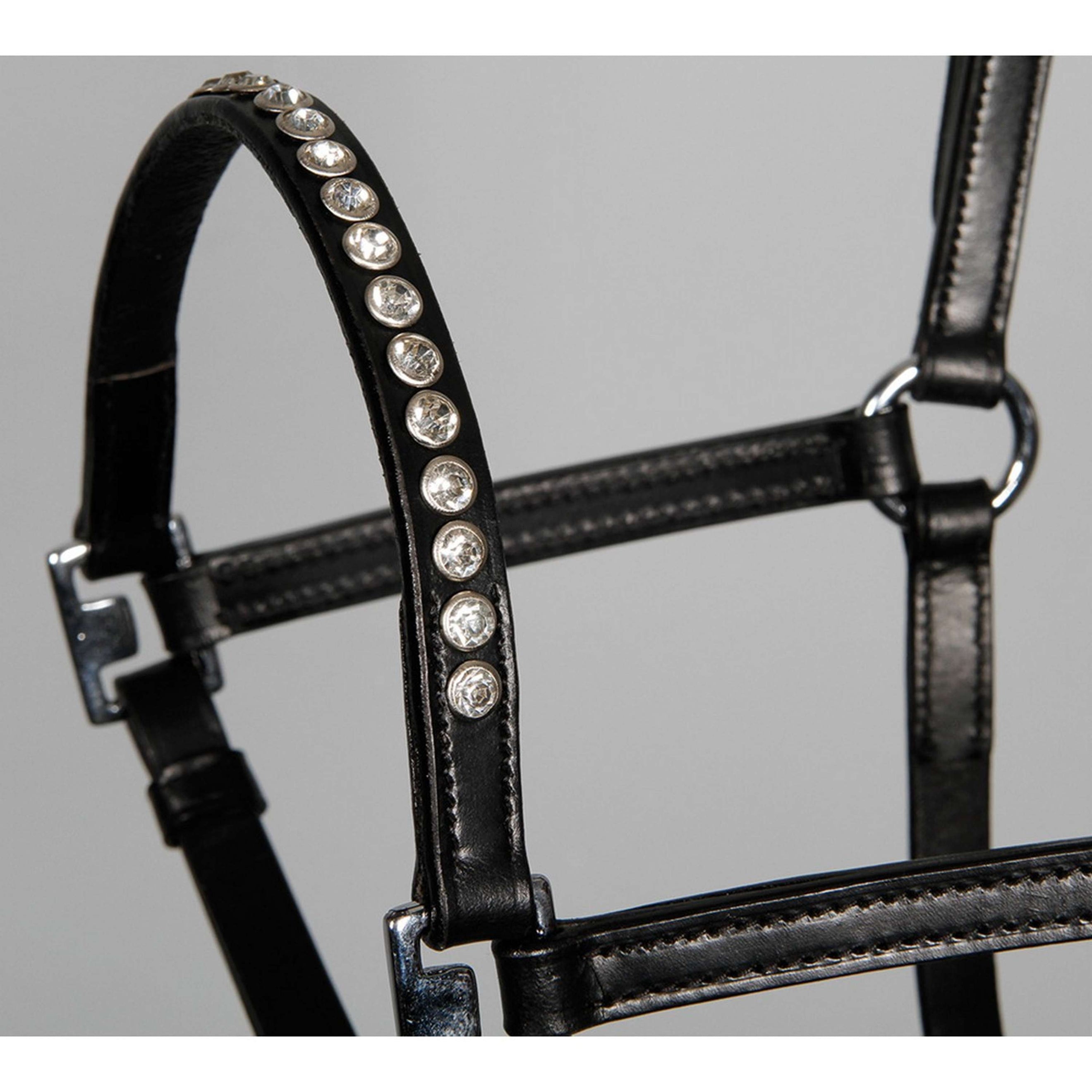 Harry's Horse Licol Crystal