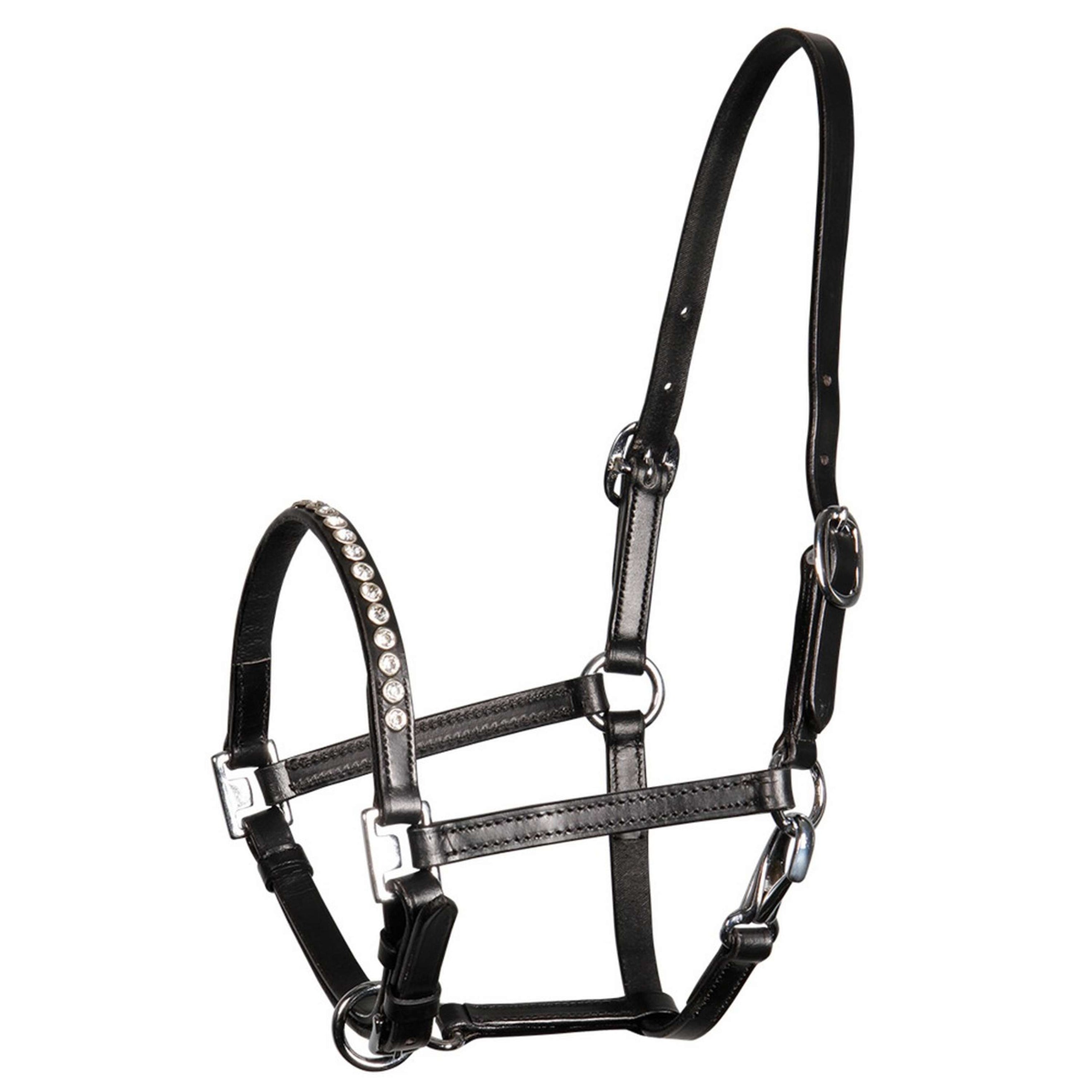 Harry's Horse Licol Crystal