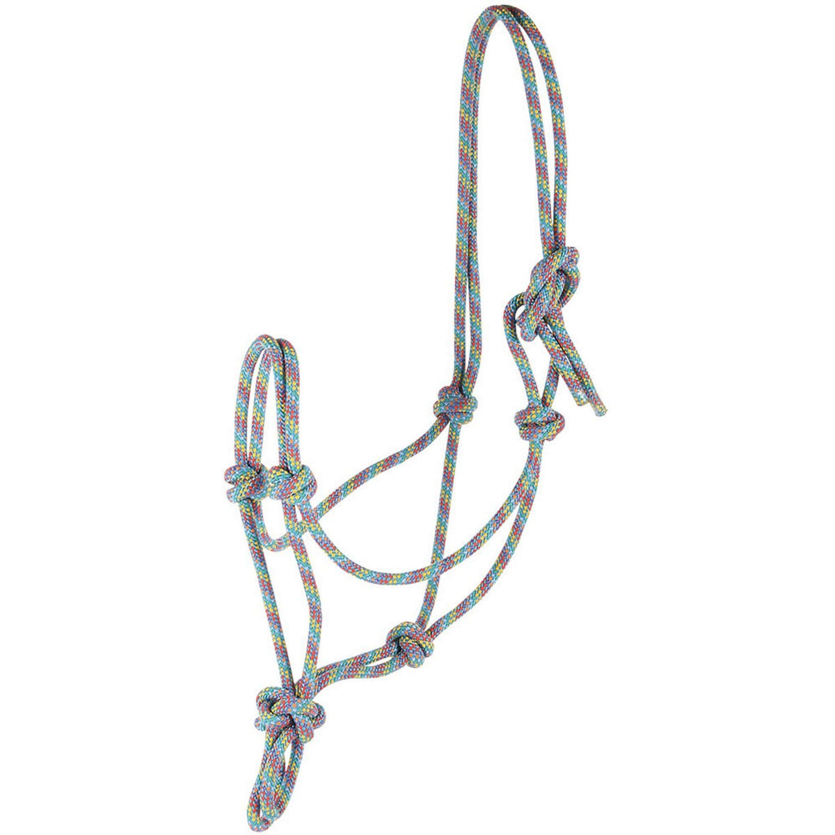 Harry's Horse Licol en Corde arc-en-ciel