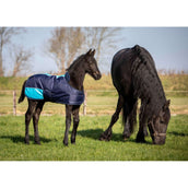 Harry's Horse Couverture pour Poulain TwoTone Marin