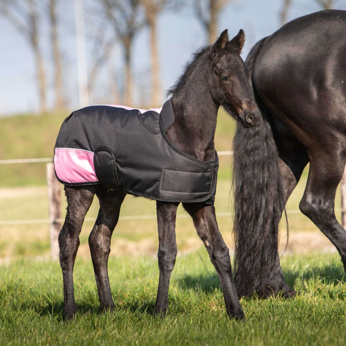 Harry's Horse Couverture pour Poulain TwoTone Noir