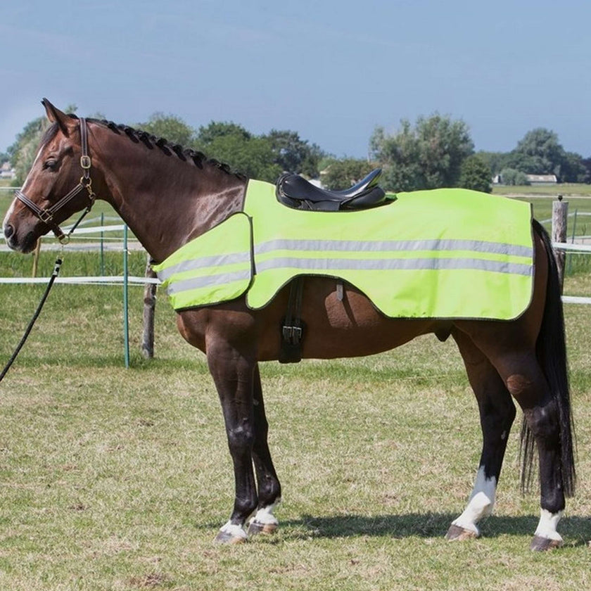 Harry's Horse Couvre-reins Reflective Réfléchissant Harry's Horse Couvre-reins Reflective Réfléchissant