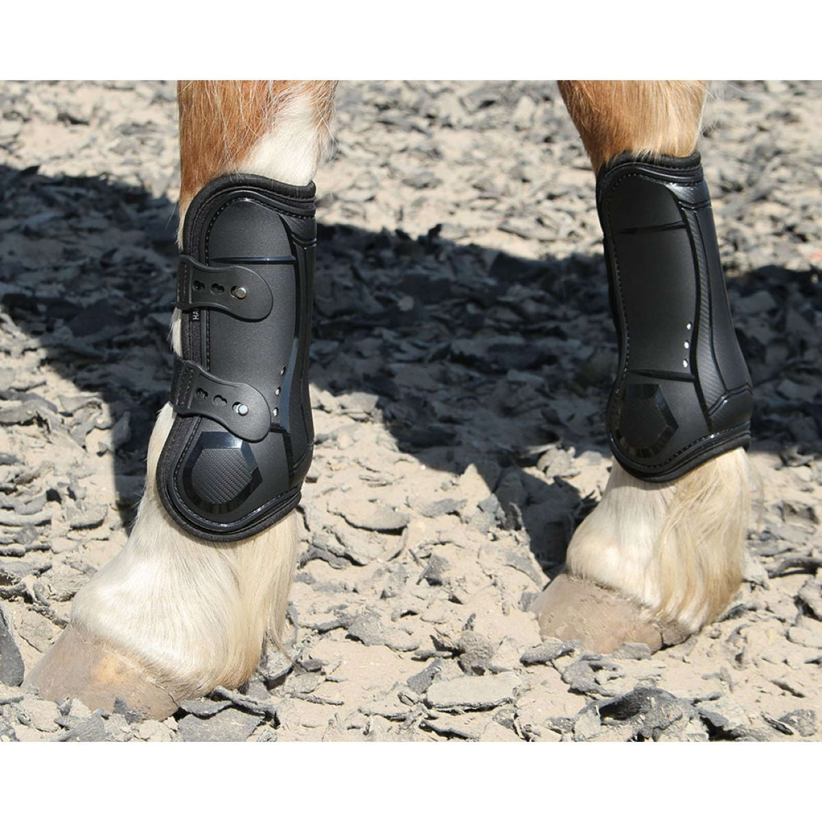 Harry's Horse Protèges-Tendons Percy Noir