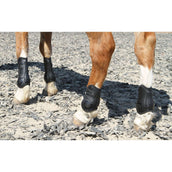 Harry's Horse Protèges-Tendons Percy Noir