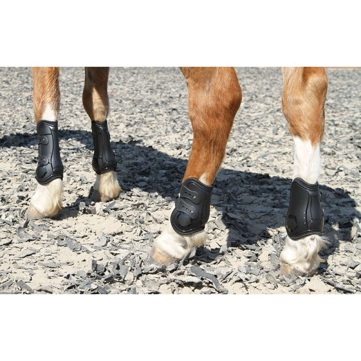 Harry's Horse Protège-Boulets Percy Noir
