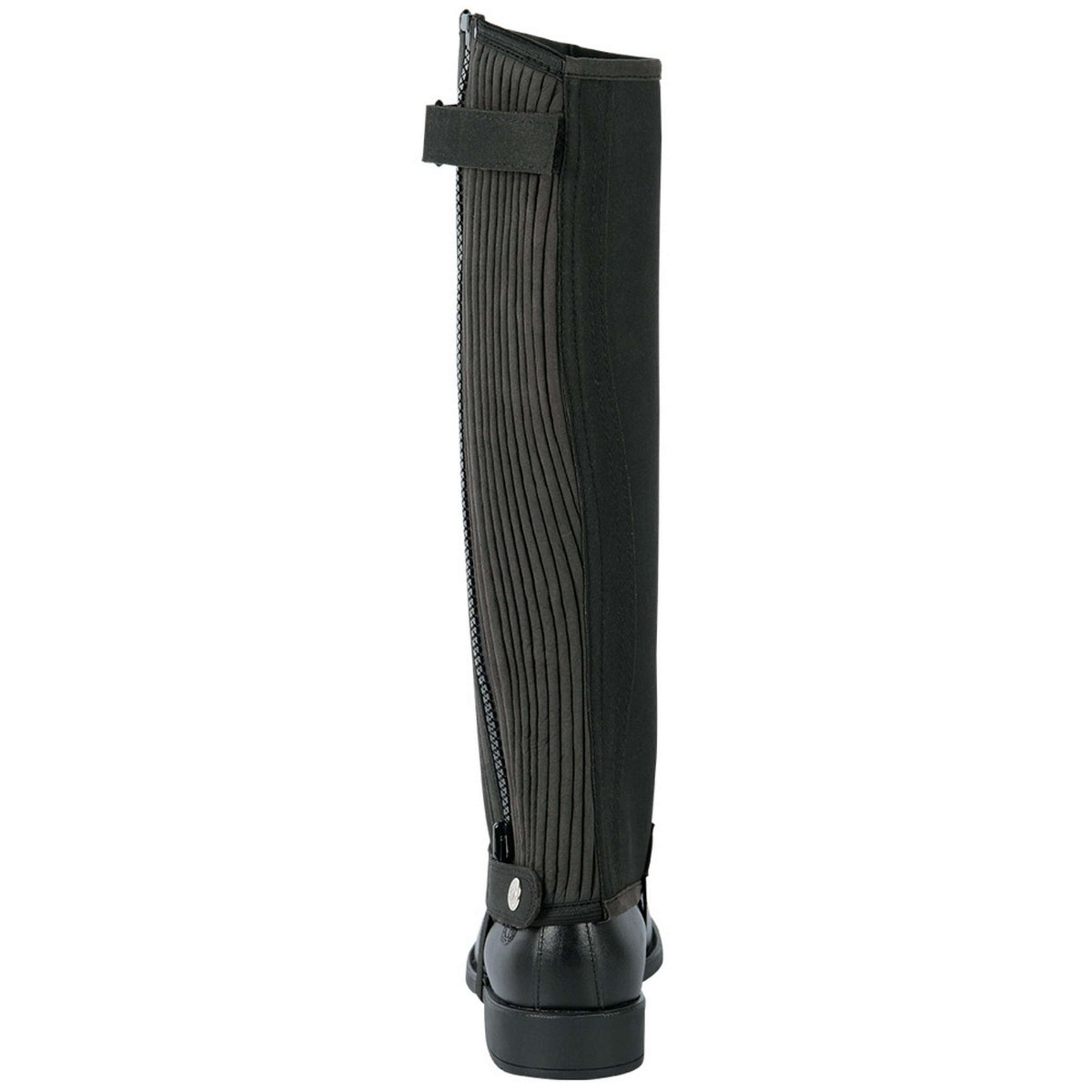 Harry's Horse Chaps Amara Noir Harry's Horse Chaps Amara Noir