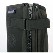 Harry's Horse Chaps Amara Noir