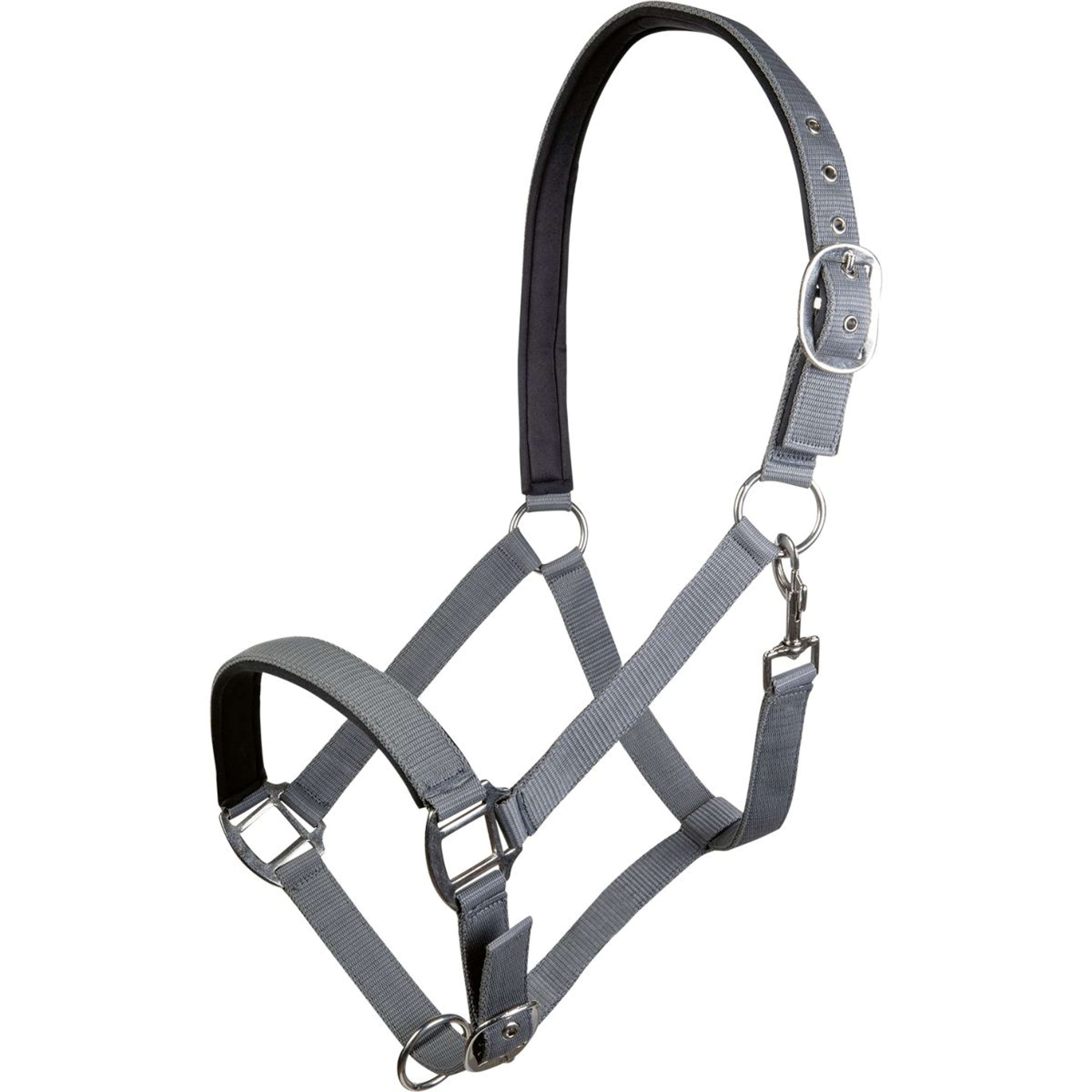 HKM Licol Charming Souple Rembourrage Gris HKM Licol Charming Souple Rembourrage Gris