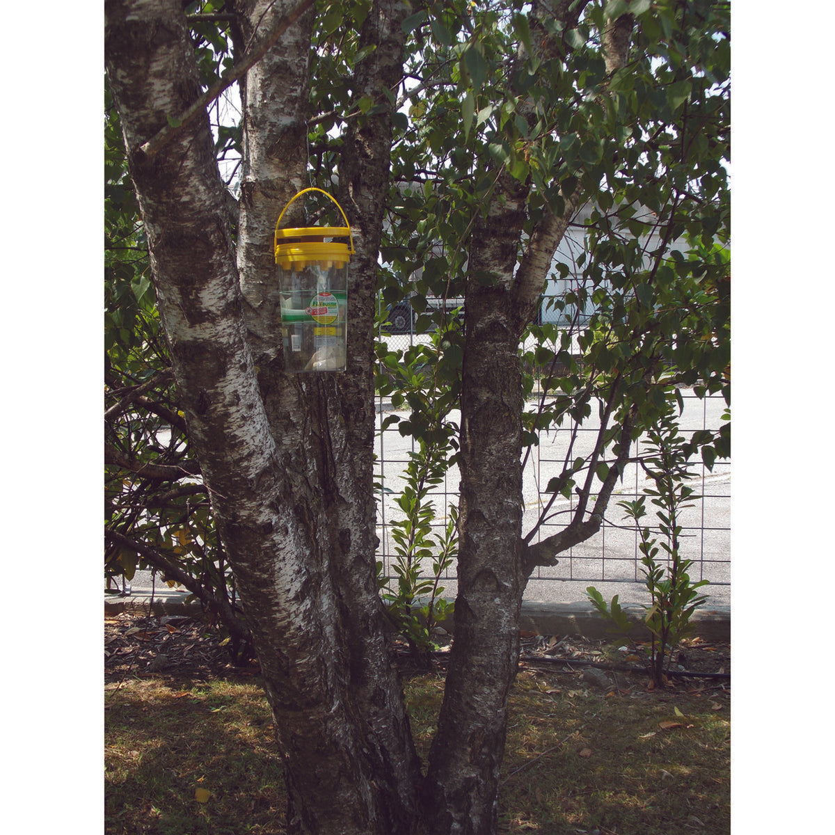Agradi Garden Trap Incl Bait