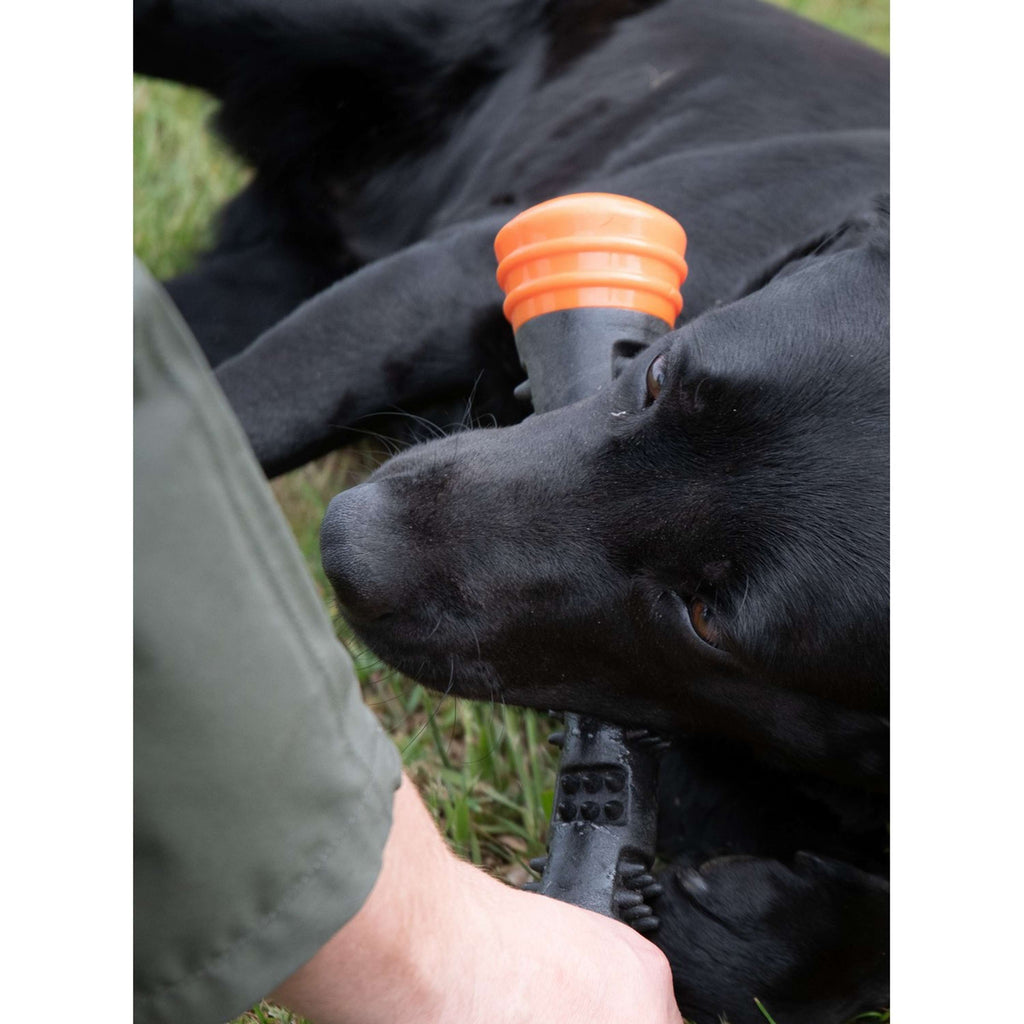 Dog Comets Lance-Balles Meteor Orange