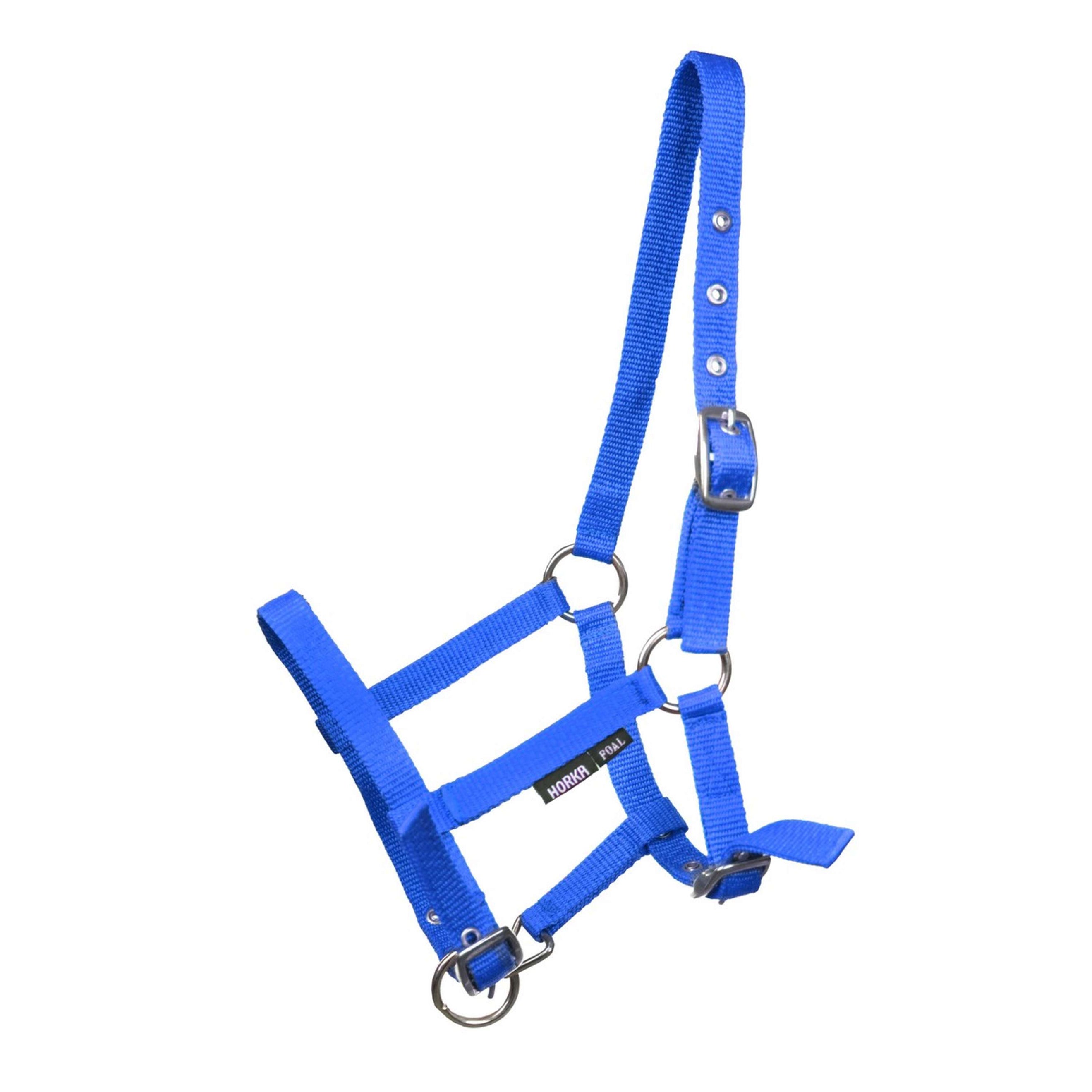HORKA Licol Poulain Cobalt HORKA Licol Poulain Cobalt