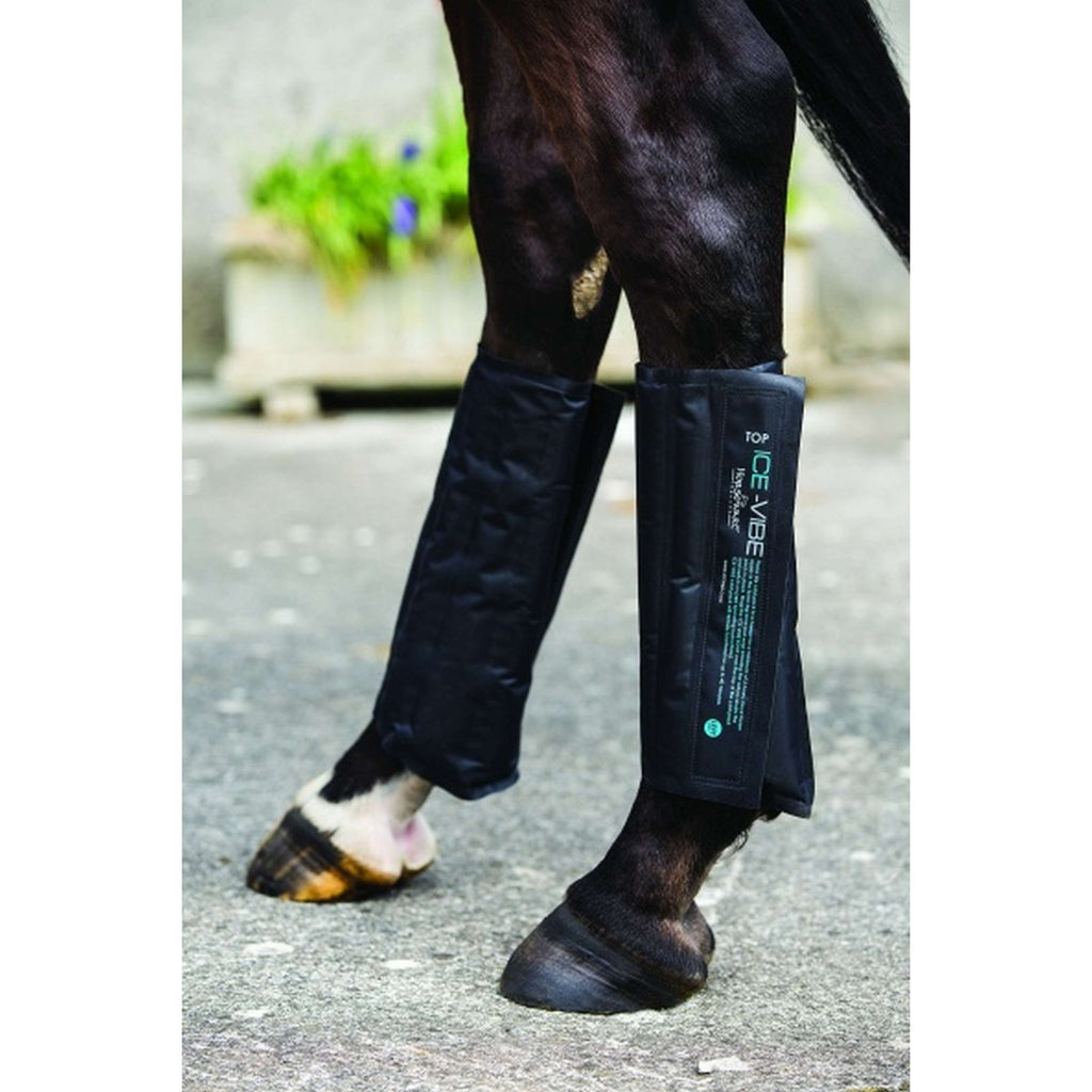 Ice-Vibe Packs de Froid 2 Pièces Noir