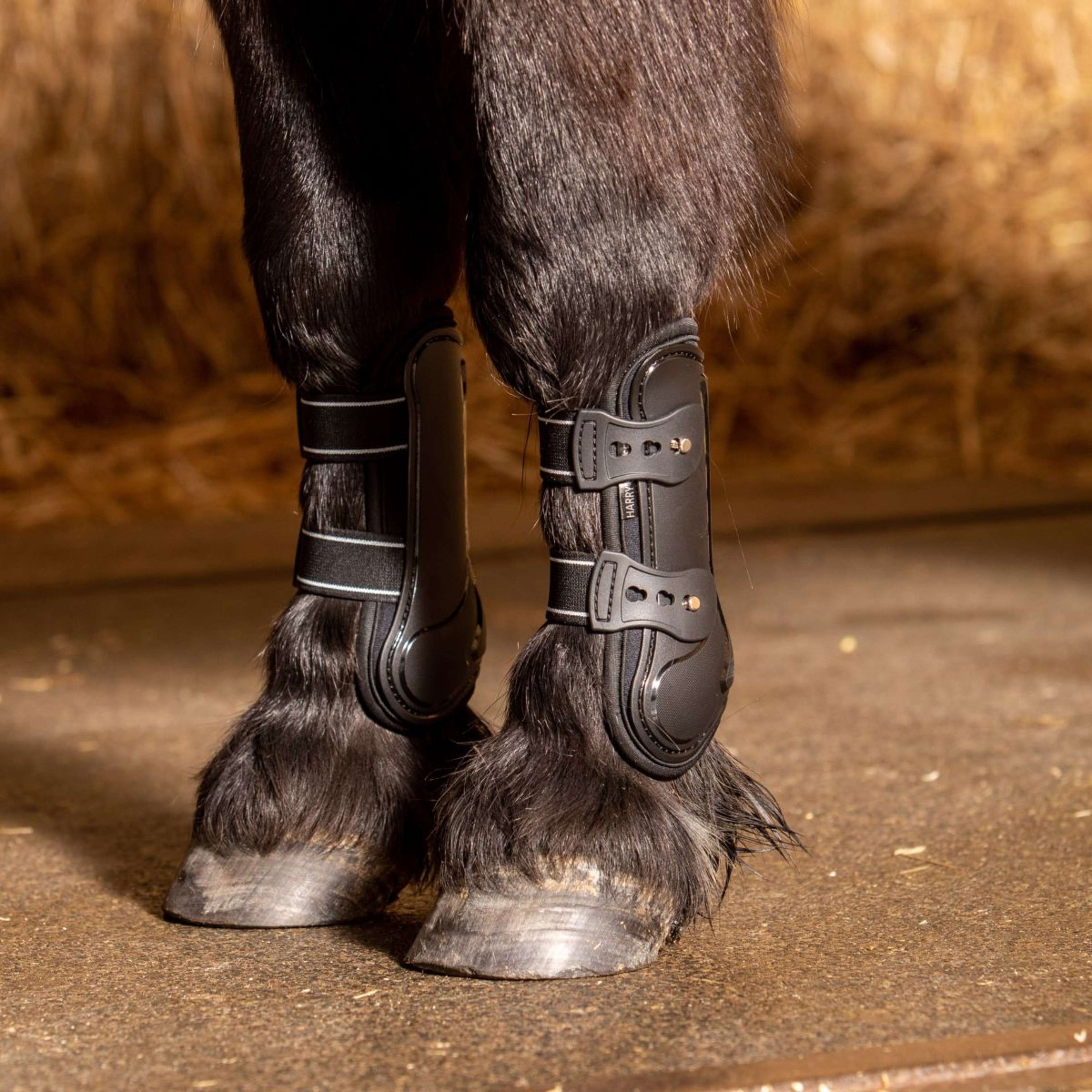 Harry's Horse Protèges-Tendons Pinlock Noir Harry's Horse Protèges-Tendons Pinlock Noir