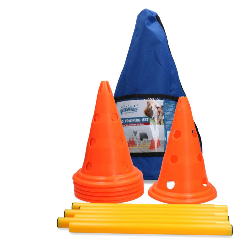 Pawise Activity Set Chiens