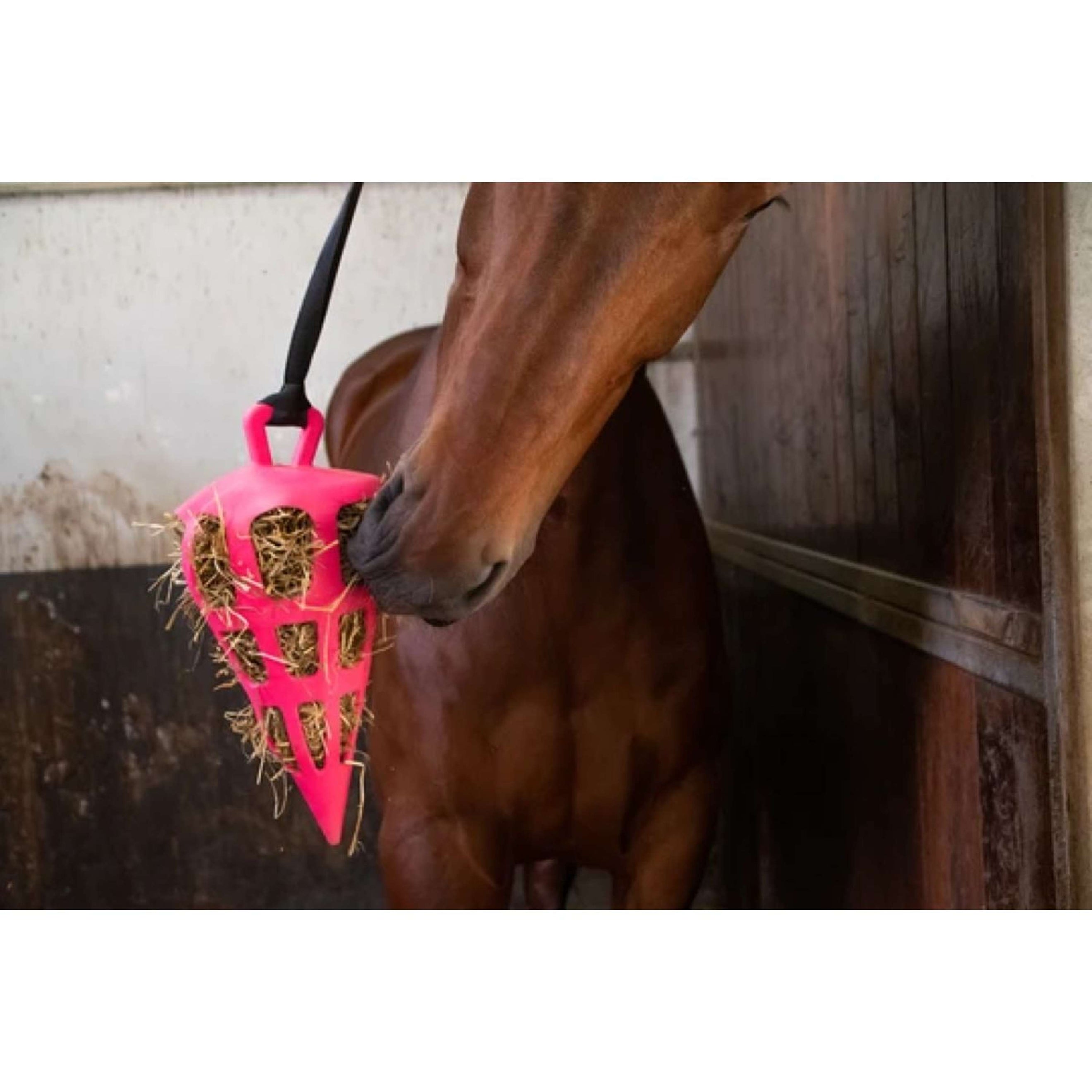 Excellent Filet Anti-Glouton Fun and Flex Carotte Rose Excellent Filet Anti-Glouton Fun and Flex Carotte Rose