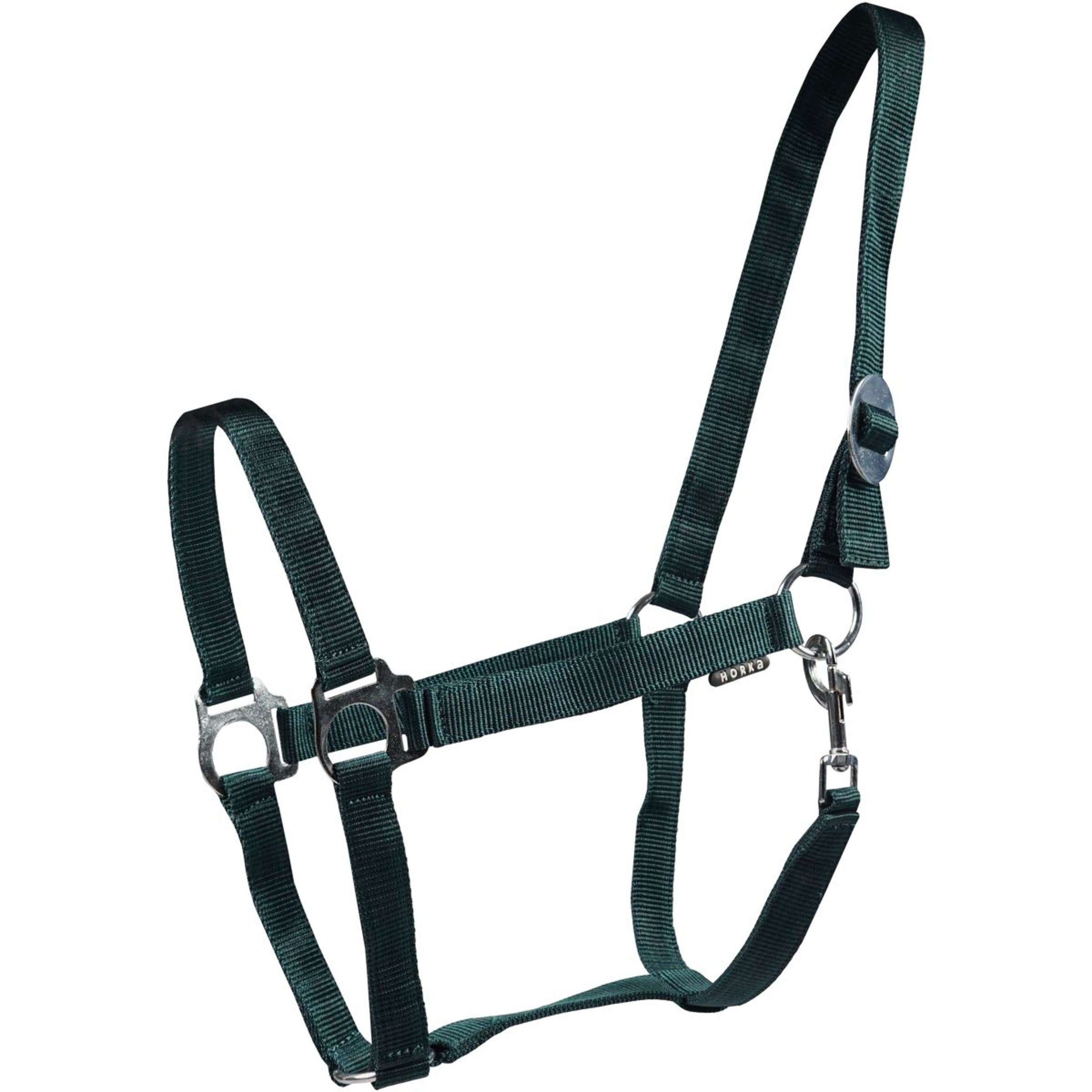 HORKA Licol Drew Vert