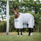 Amigo Bug Buster Argent/Gris Titane/Argent