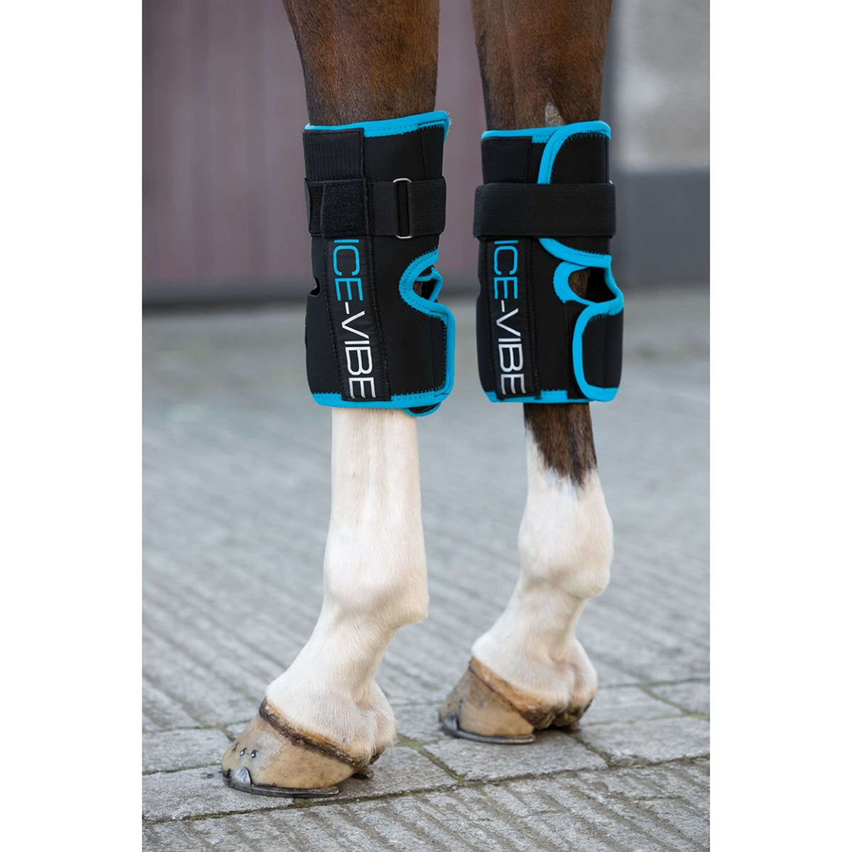 Ice-Vibe Knee Wrap II 2 Pièces Noir/Aqua