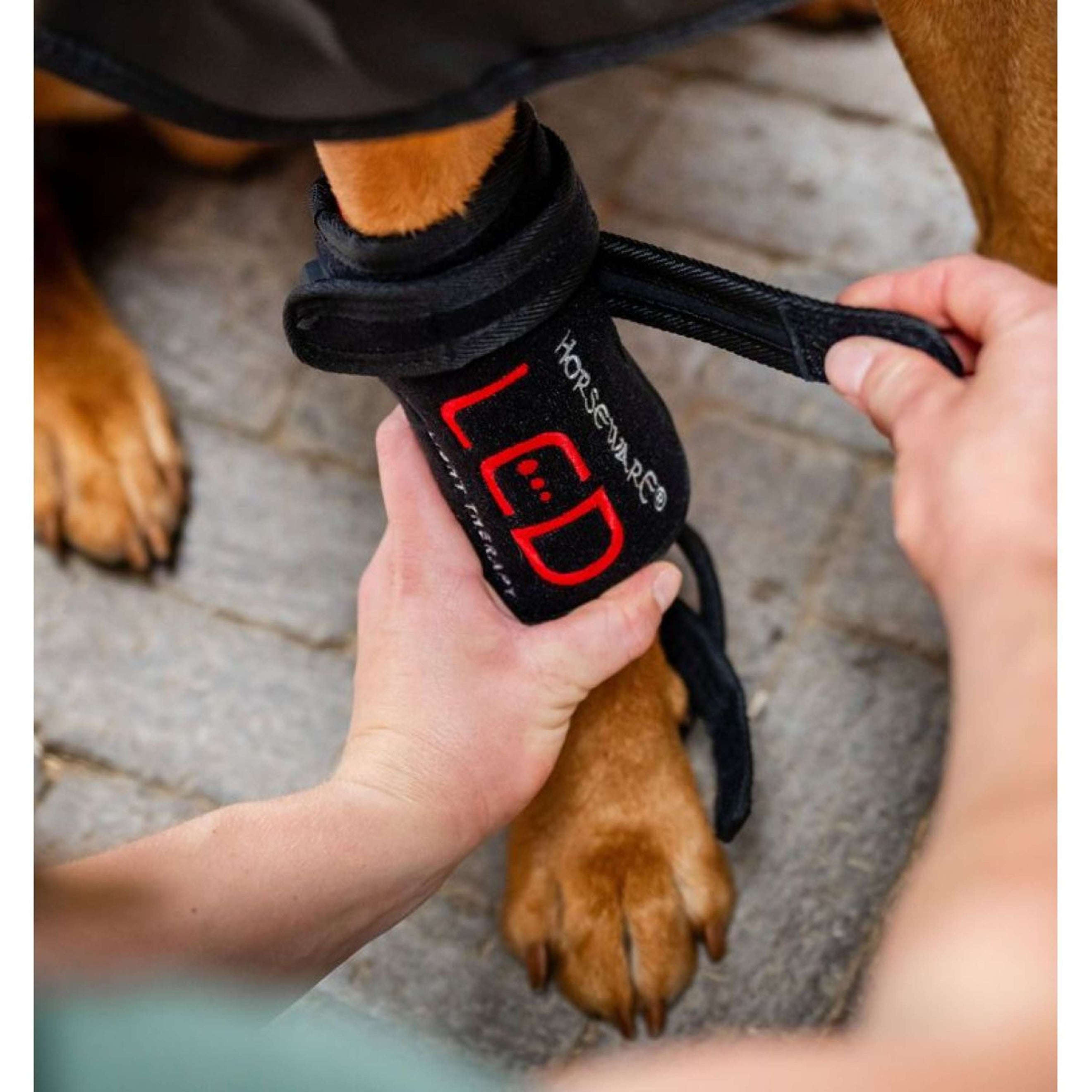 Horseware LED Red Light Therapy Pet Leg Wrap Noir Horseware LED Red Light Therapy Pet Leg Wrap Noir