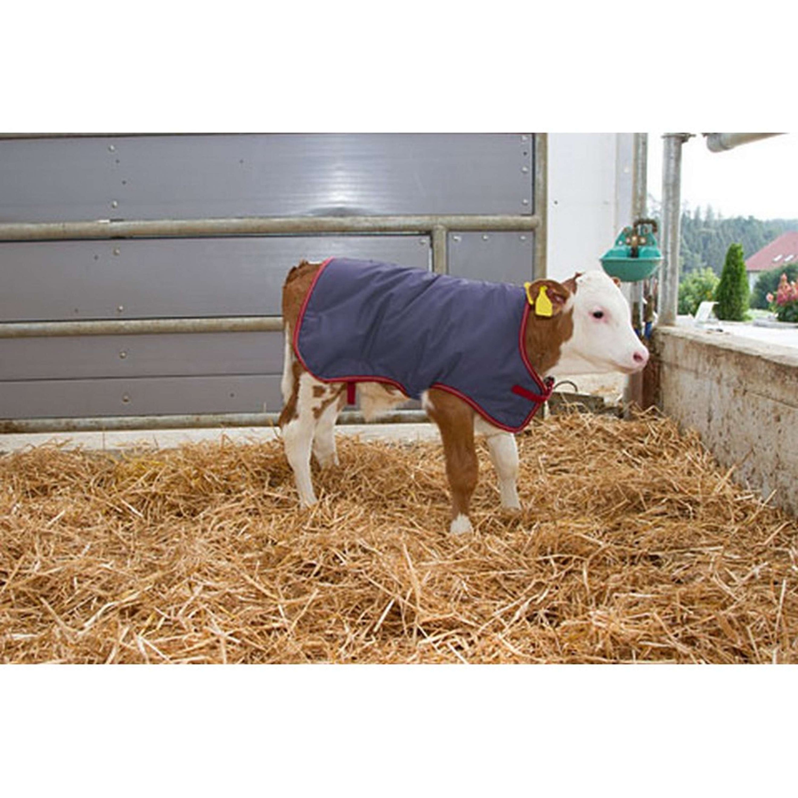 Kerbl Couverture pour Veau Thermoplus Kerbl Couverture pour Veau Thermoplus