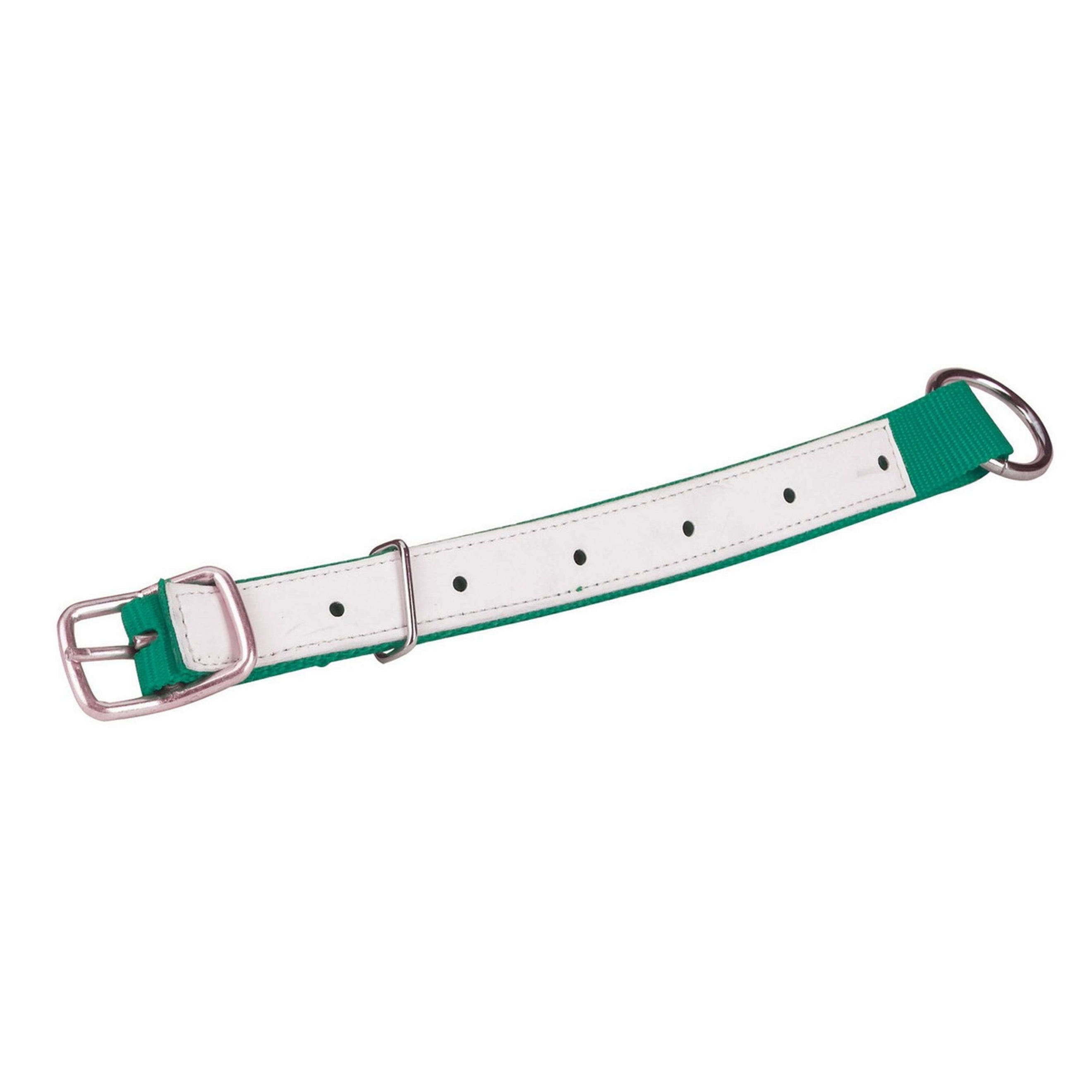 Kerbl Collier Nylon Mouton/Chèvre Vert Kerbl Collier Nylon Mouton/Chèvre Vert
