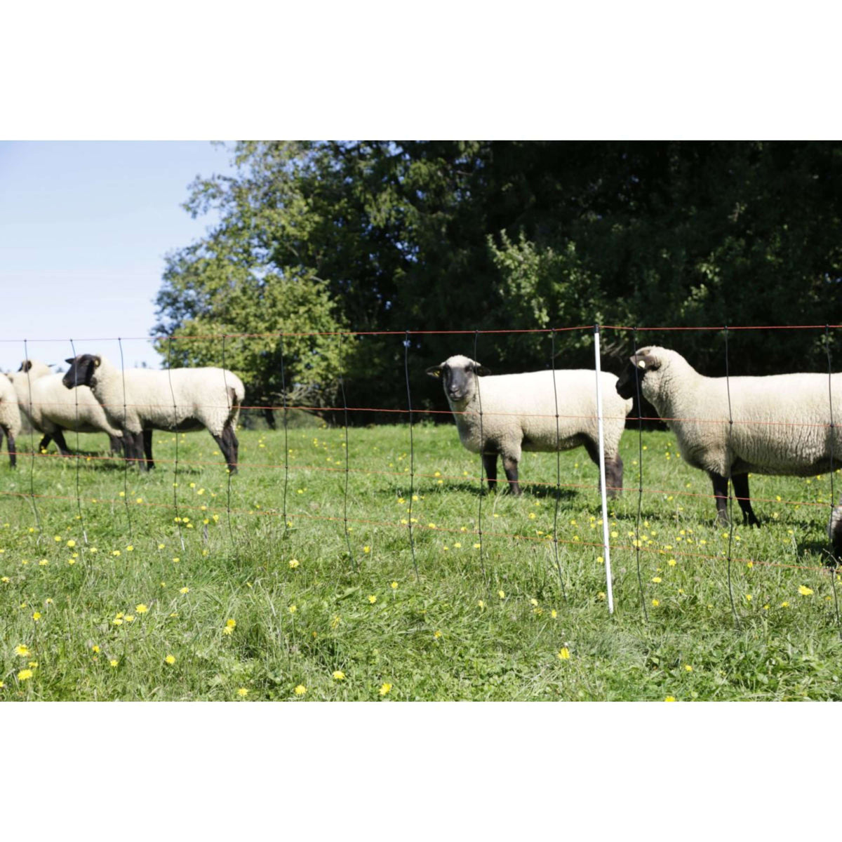 Kerbl Filet à moutons Titan Light Single Pen