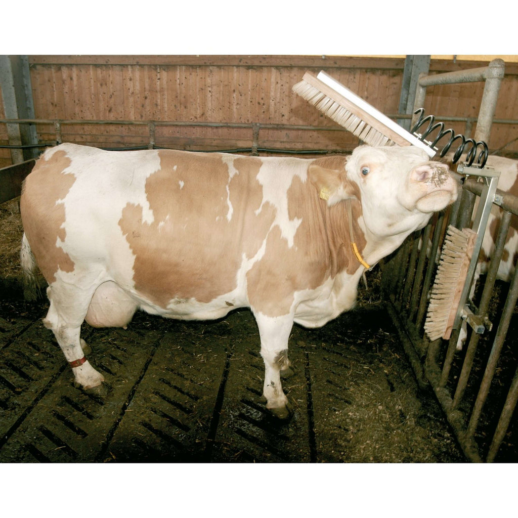 Kerbl Brosse pour Bétail Texas