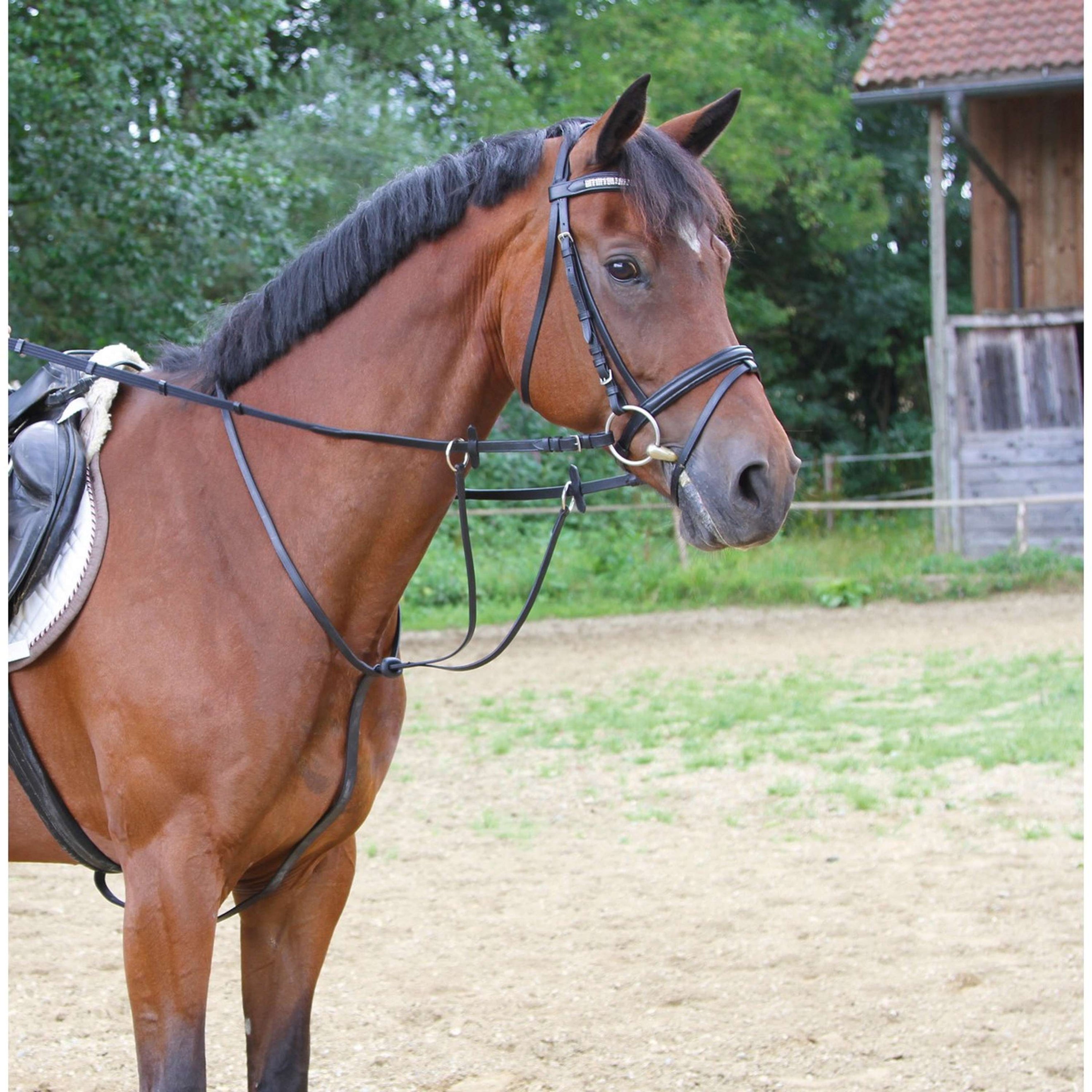 Kerbl Martingale en Cuir Noir Kerbl Martingale en Cuir Noir