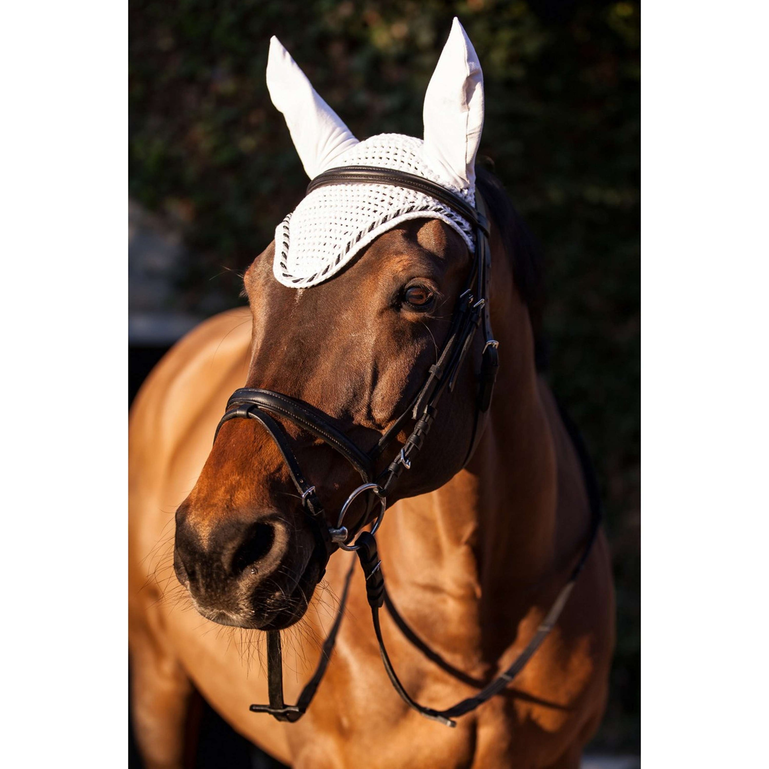 Kerbl Filet Anti-Mouches Classic Blanc Kerbl Filet Anti-Mouches Classic Blanc