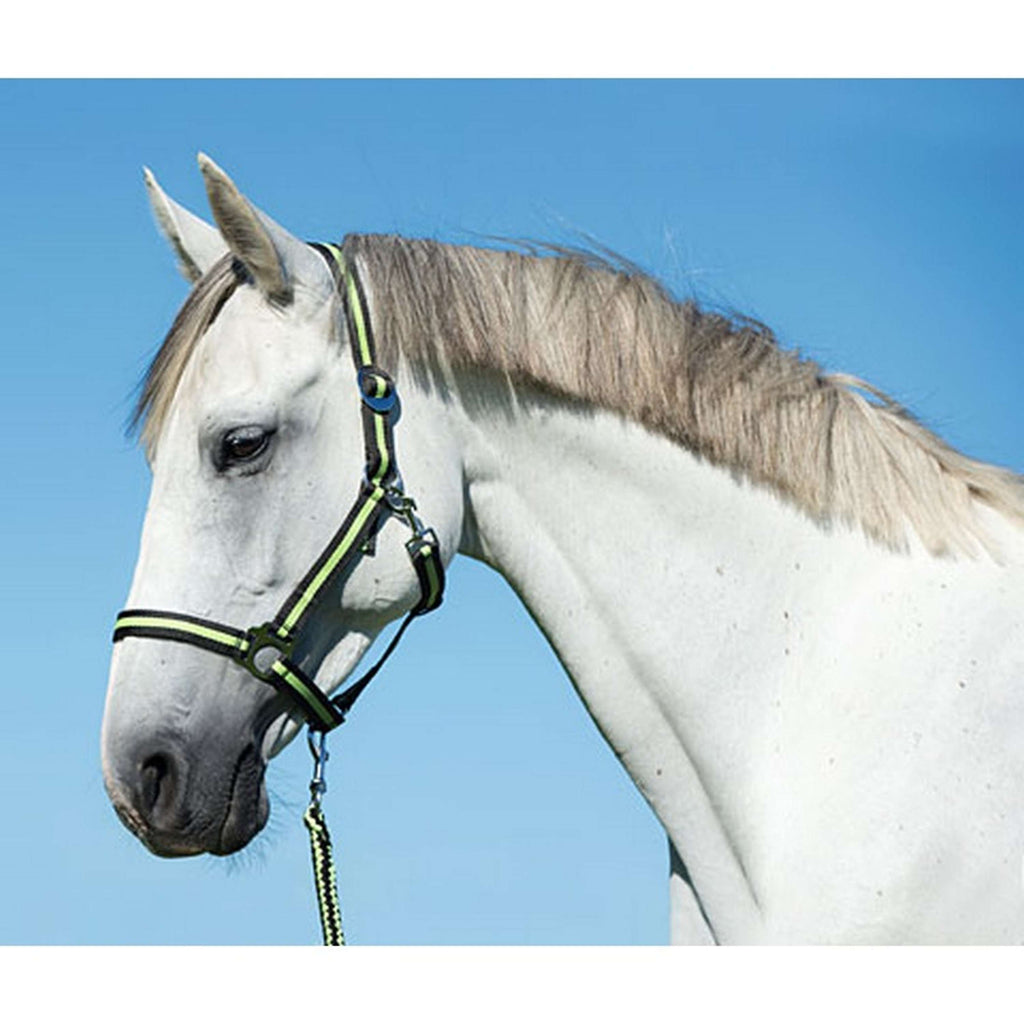 Covalliero Corde pour Licol Hippo avec Mousqueton Anthracite/Citron