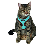 Kerbl Harnais pour Chat Active avec Ligne 120cm Bleu