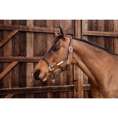 Kentucky Licol en Cuir et Corde Noir