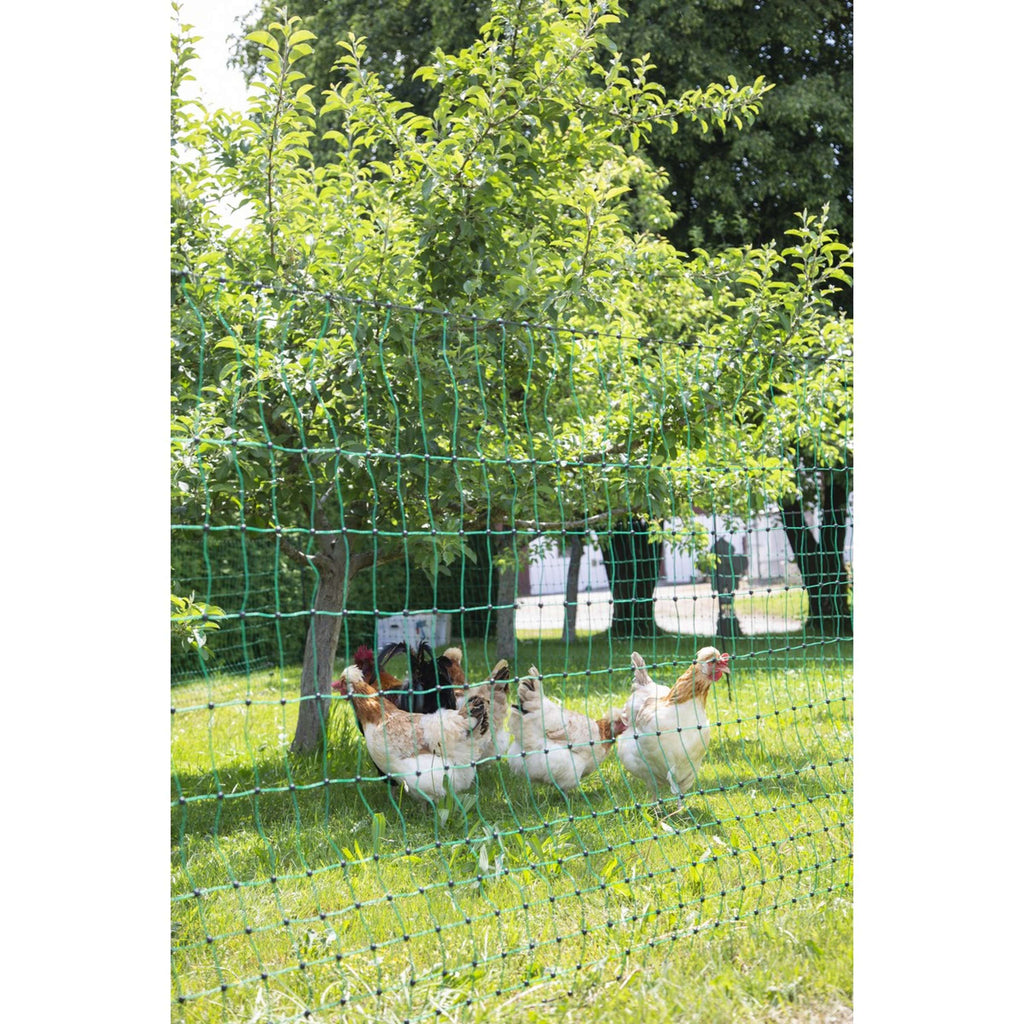 Ako Filet Avicole Goupille Double Conductrice Vert