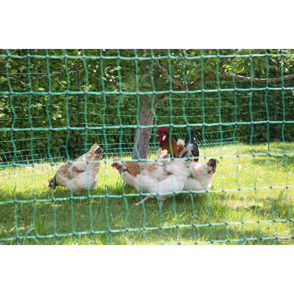 Ako Filet Avicole Goupille Double Conductrice Vert