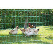 Ako Filet Avicole Goupille Double Conductrice Vert