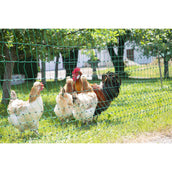 Ako Filet Avicole Goupille Double Conductrice Vert