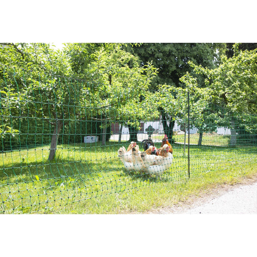 Ako Filet Avicole Goupille Double Conductrice Vert