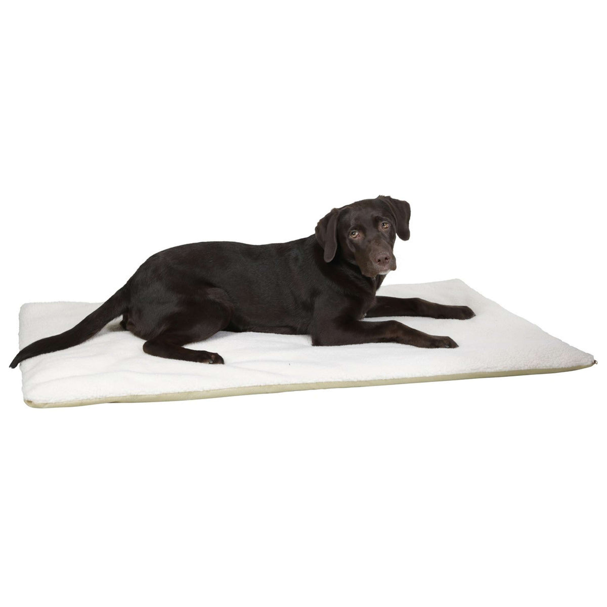 Kerbl Coussin pour Chien Beige