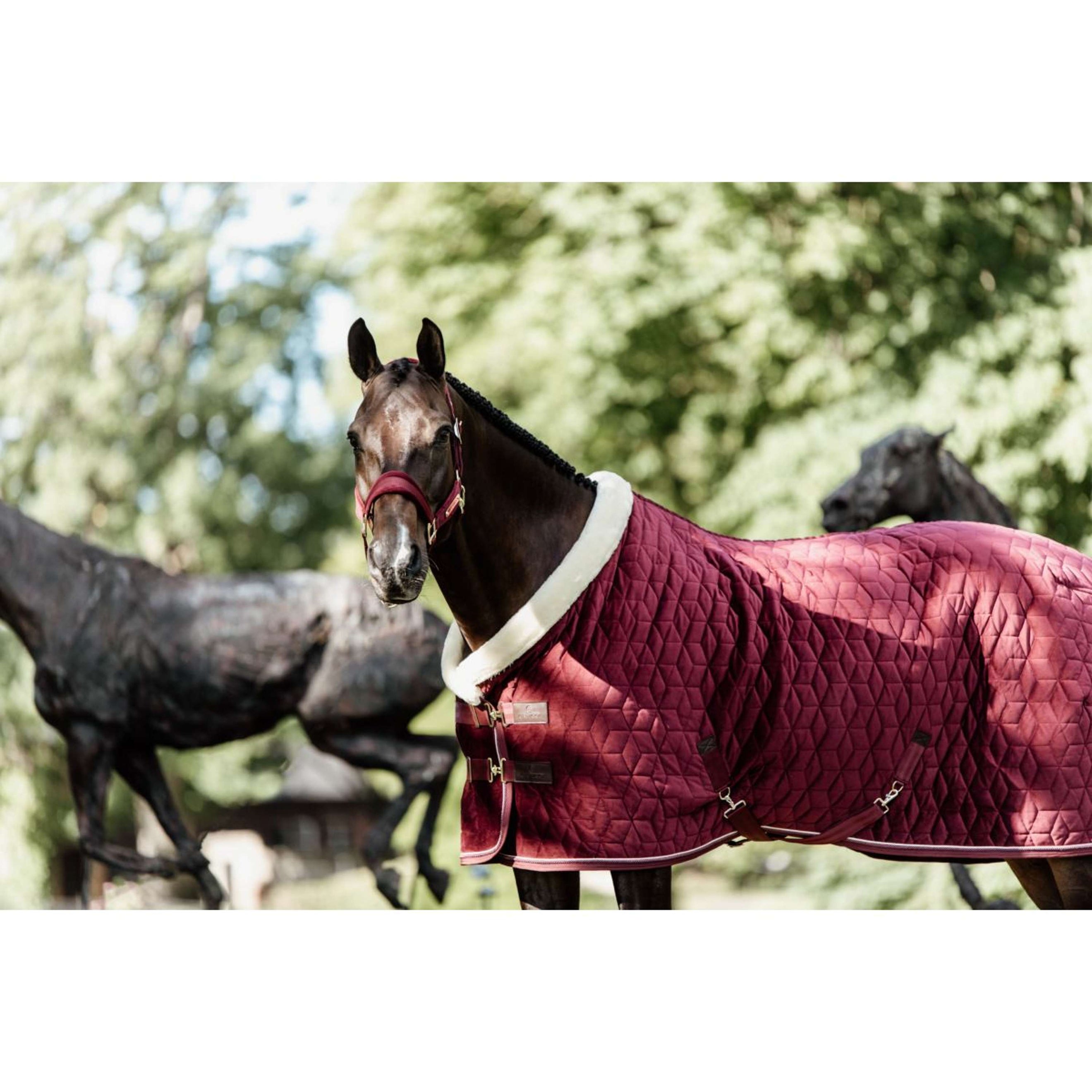 Kentucky Couverture de Concours velours 160g Bordeaux