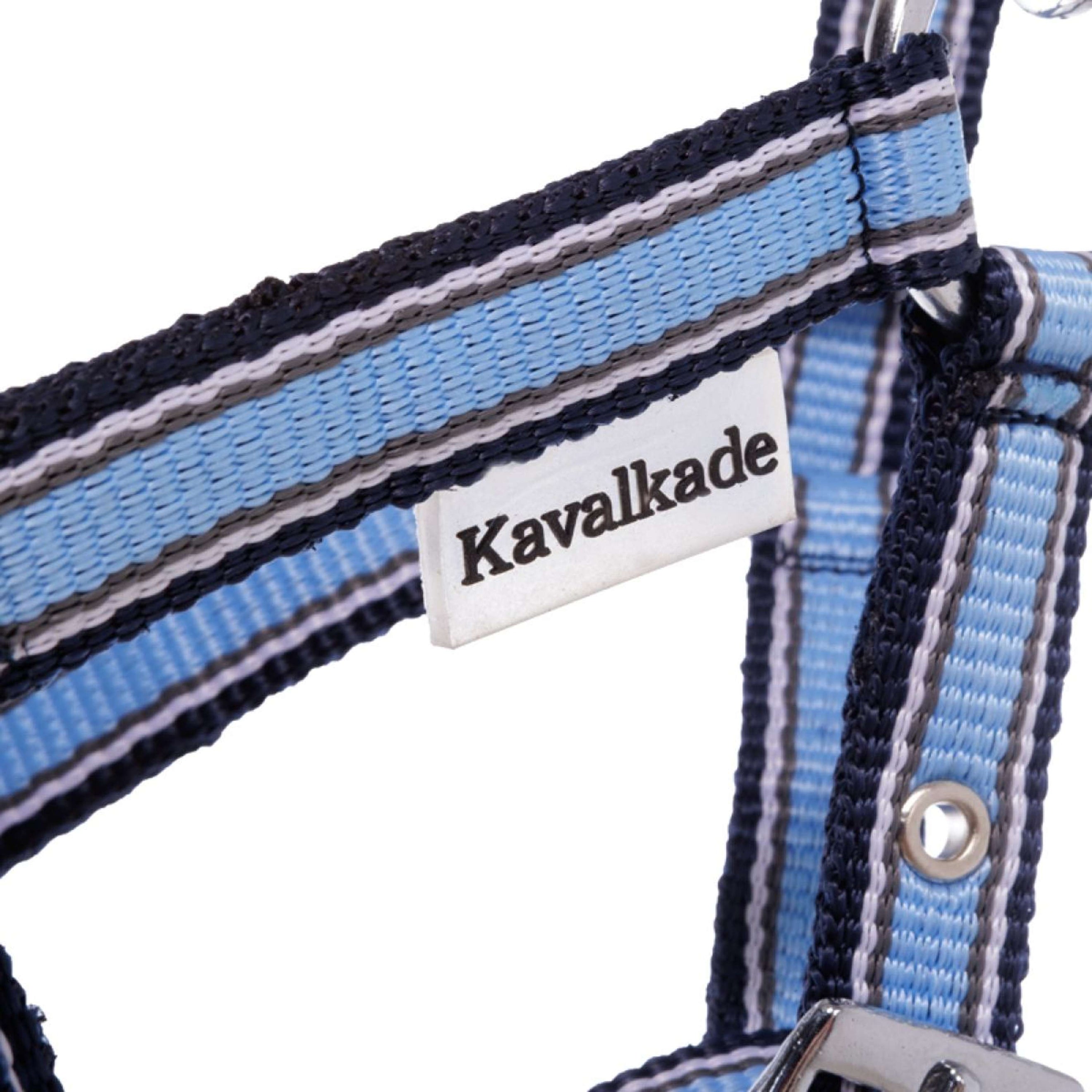 Kavalkade Licol Foal/Yearling Bleu clair/bleu marine/blanc Kavalkade Licol Foal/Yearling Bleu clair/bleu marine/blanc