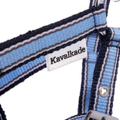 Kavalkade Licol Foal/Yearling Bleu clair/bleu marine/blanc