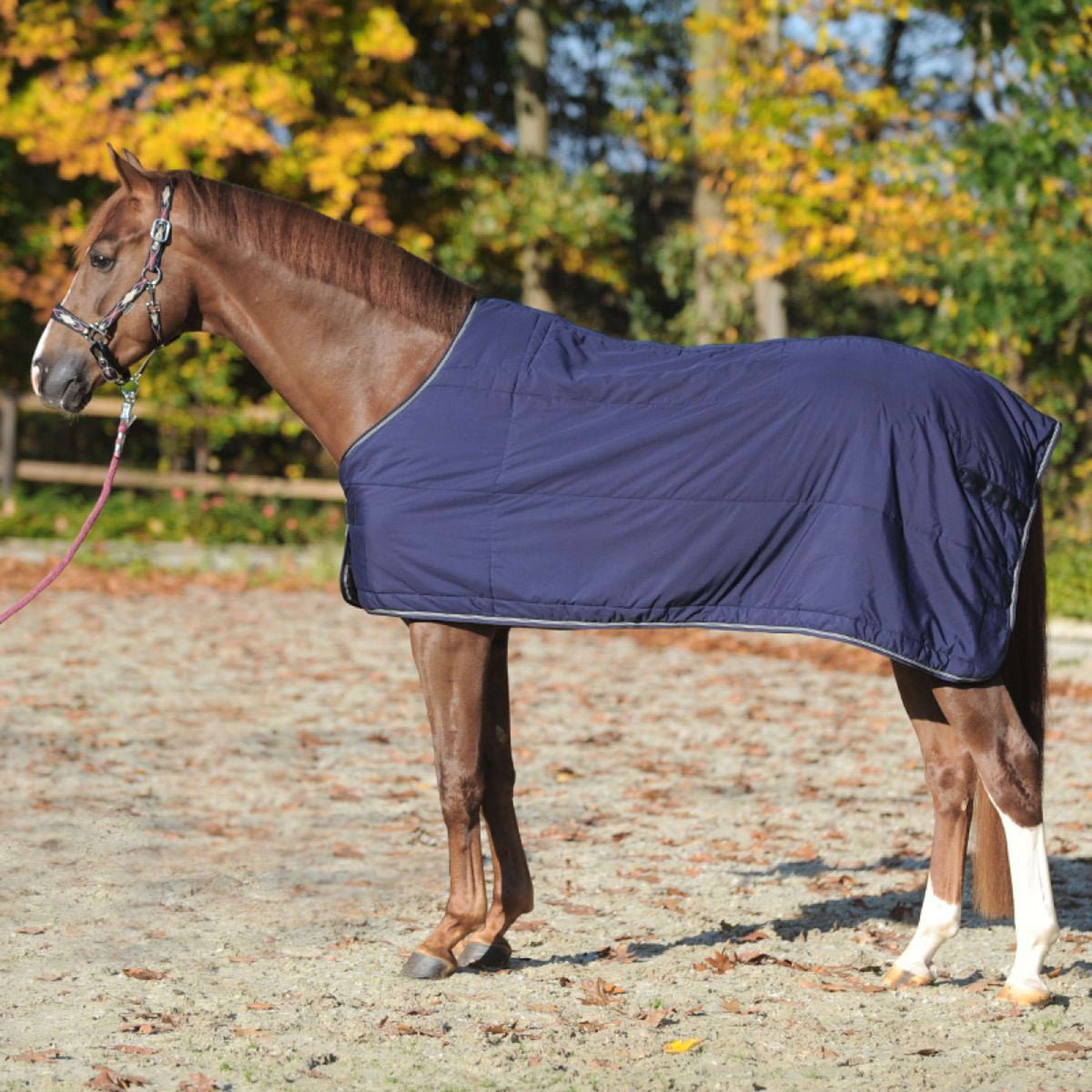 Kavalkade Sous-Couverture 150g Marin