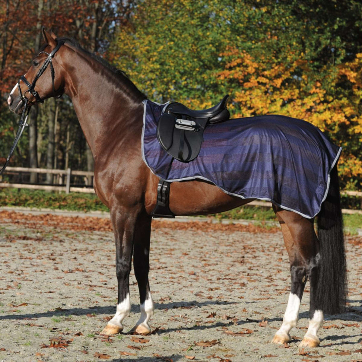 Kavalkade Couvre-reins Fly Marine/Gris