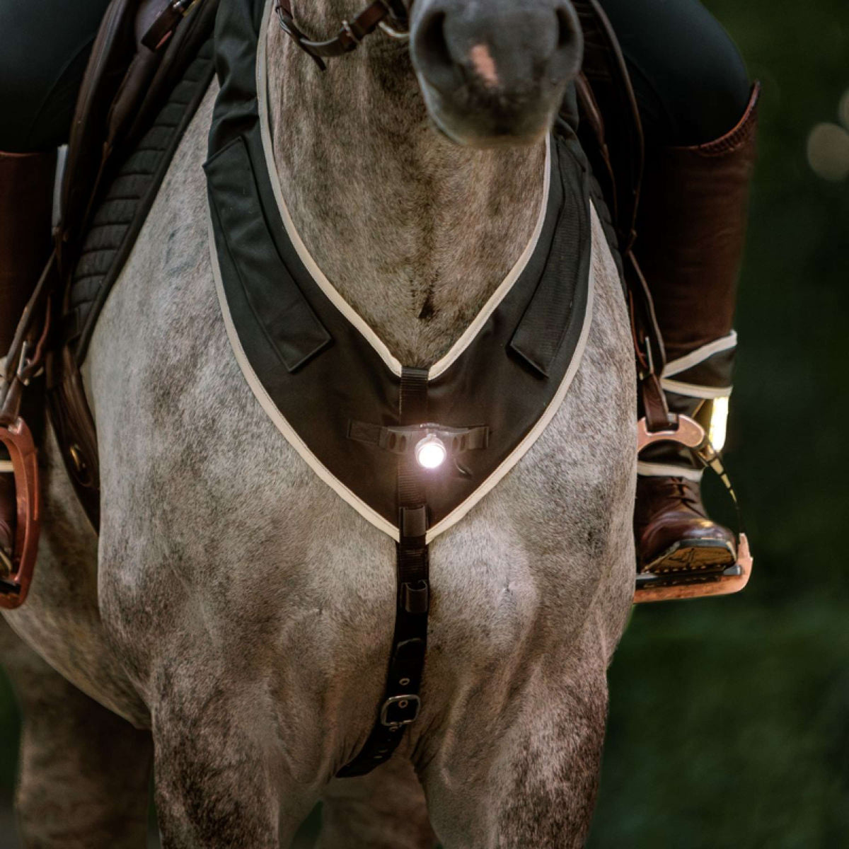 Kavalkade Collier de Chasse Horselight Noir/Gris