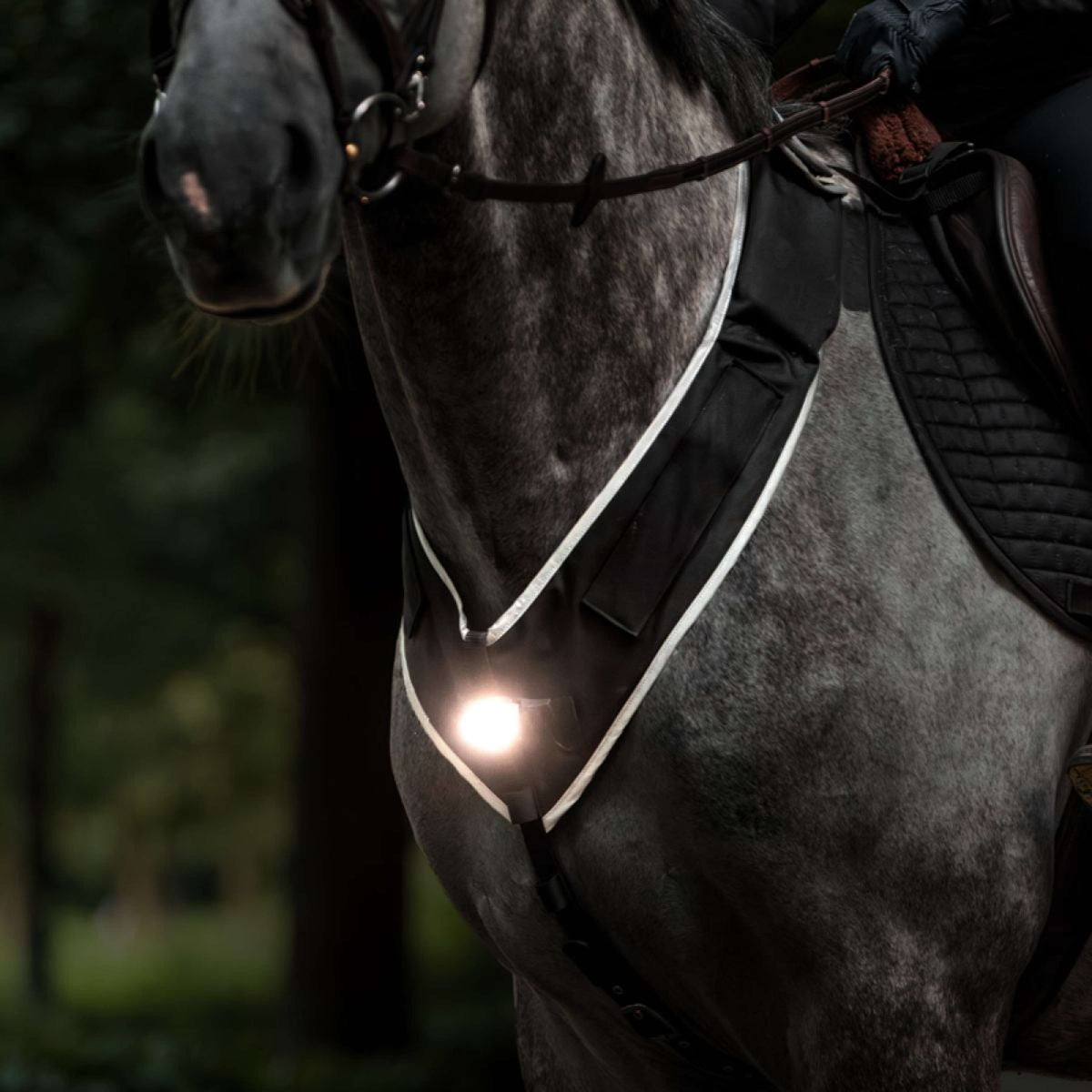 Kavalkade Collier de Chasse Horselight Noir/Gris