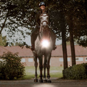 Kavalkade Cuirasse/selle Horselight Noir/Gris